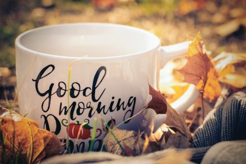 Good morning